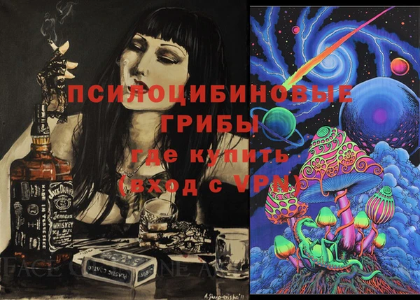 apvp Абаза