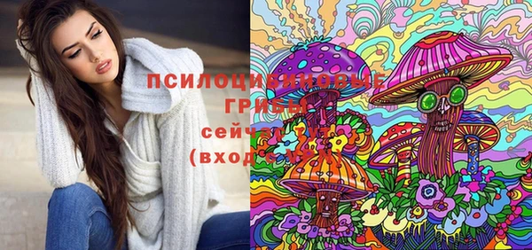 apvp Абаза