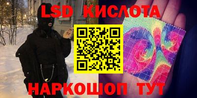 твердый Новозыбков