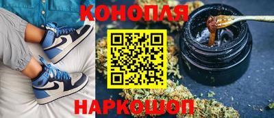 шишки Новокубанск