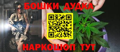 шишки Новокубанск
