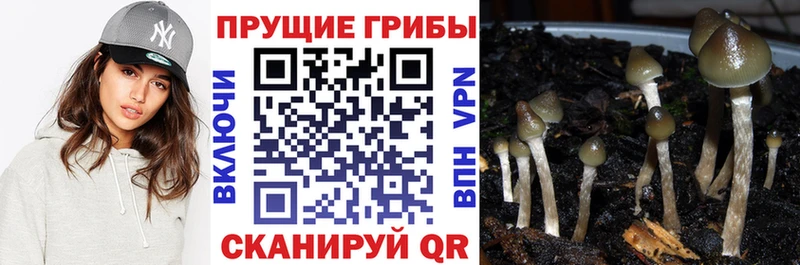 купить наркотик  Скопин  Галлюциногенные грибы мицелий 