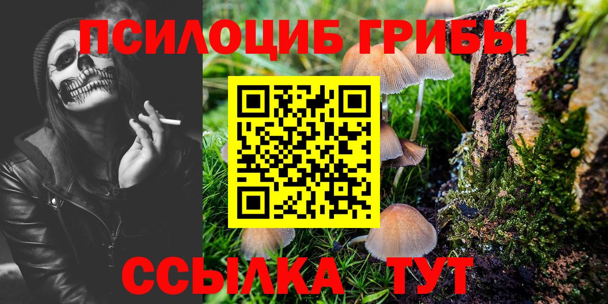 Скопин  Псилоцибиновые грибы прущие грибы  Вход с VPN  Галлюциногенные грибы прущие грибы 