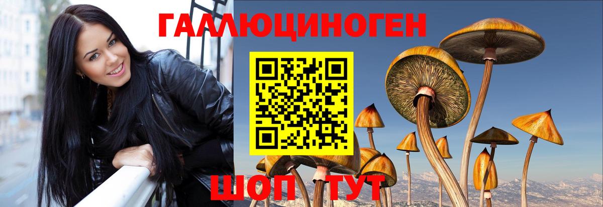 Псилоцибиновые грибы MAGIC MUSHROOMS Скопин